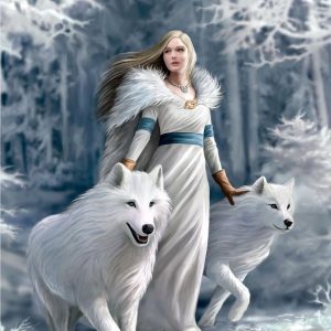 Puzzel (1000stuks) Anne Stokes Collection – Winter Guardians