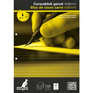 Cursusblok A4/2gaten geruit 4x8mm – 100vel