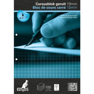 Cursusblok A4/2gaten geruit 10x10mm – 100vel