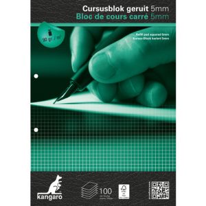 Cursusblok A4/2gaten geruit 5x5mm – 100vel