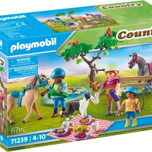 PM Country – Picknick excursie met paarden 71239