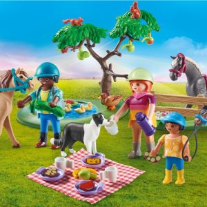 PM Country – Picknick excursie met paarden 71239