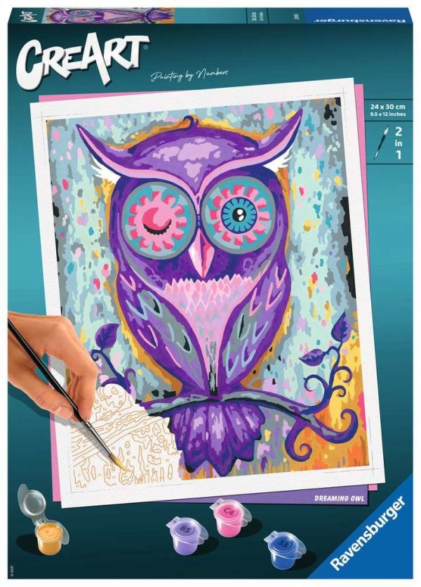 Schilderen op nummer - Dreaming Owl