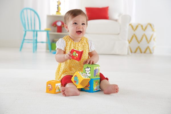 Fisher-Price - Stapel & Ontdek Blokken - Afbeelding 6