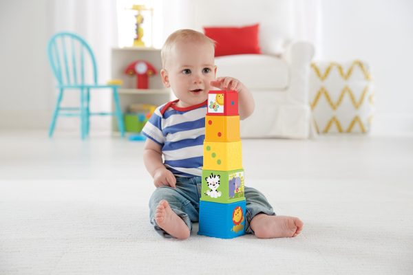 Fisher-Price - Stapel & Ontdek Blokken - Afbeelding 8