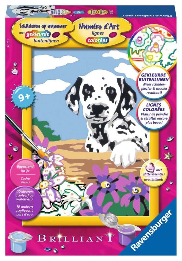 Schilderen op nummer - Dalmatiër puppy