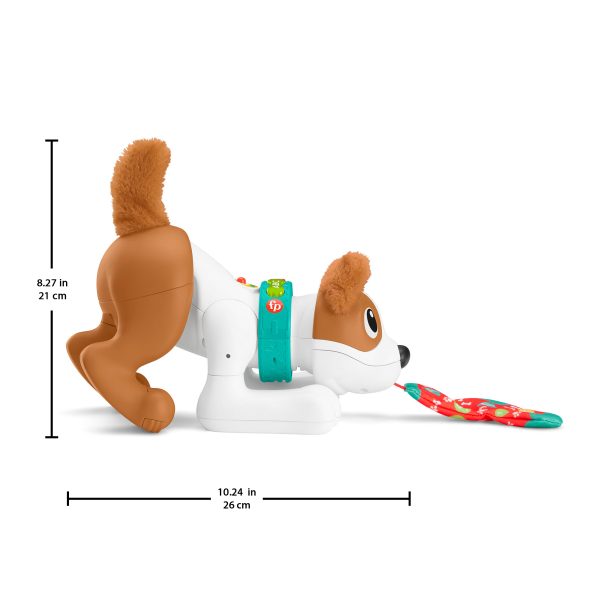 Fisher-Price 123 - Kruip met mij Puppy - Afbeelding 3