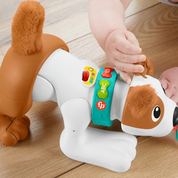 Fisher-Price 123 - Kruip met mij Puppy - Afbeelding 9