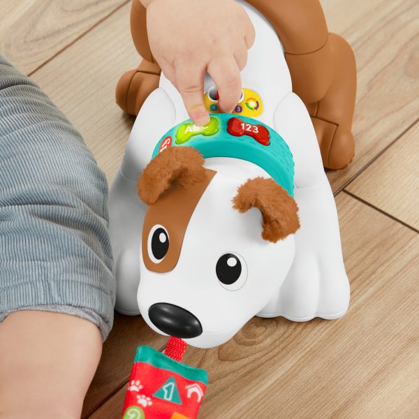 Fisher-Price 123 - Kruip met mij Puppy - Afbeelding 10