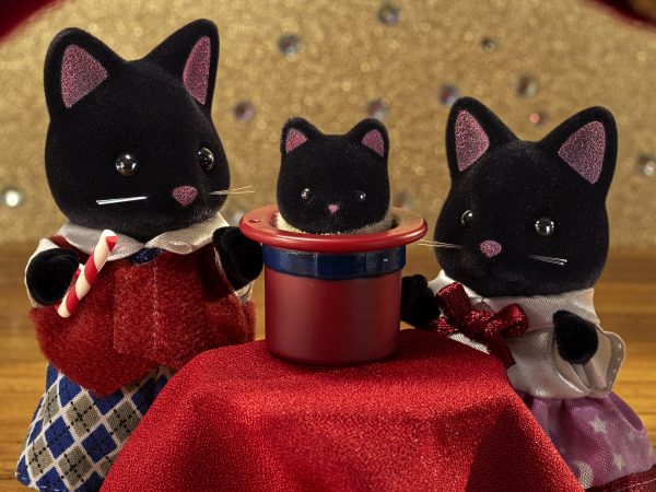 Sylvanian Families familie nacht kat - Afbeelding 4