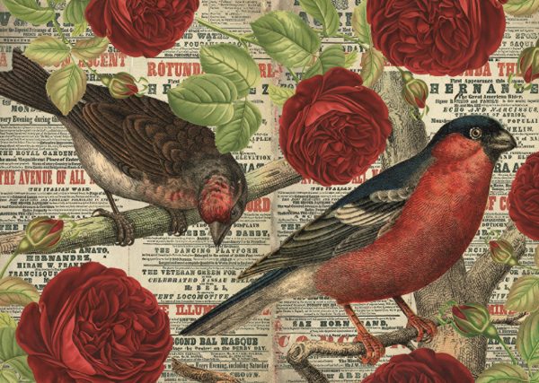 Premium Collection Vogels houden van Bloemen 500 stukjes - Afbeelding 2