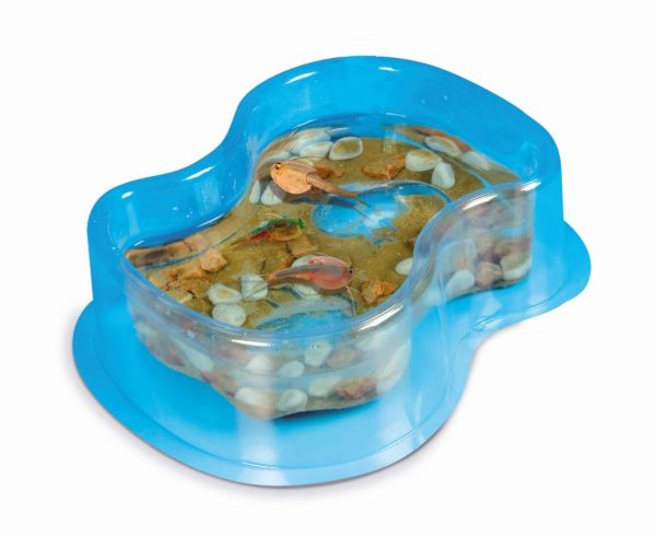 Wetenschap & Spel - Lab - Kweek je eigen Triops (8+) - Afbeelding 2