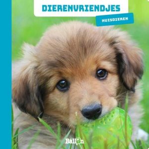 Dierenvriendjes – Huisdieren