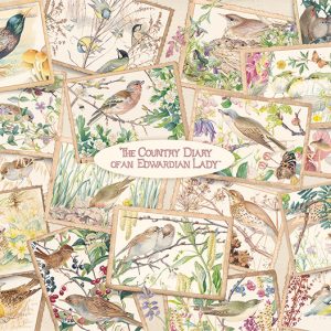 Puzzel Falcon (1000stuks) – The Country Diary Postcards