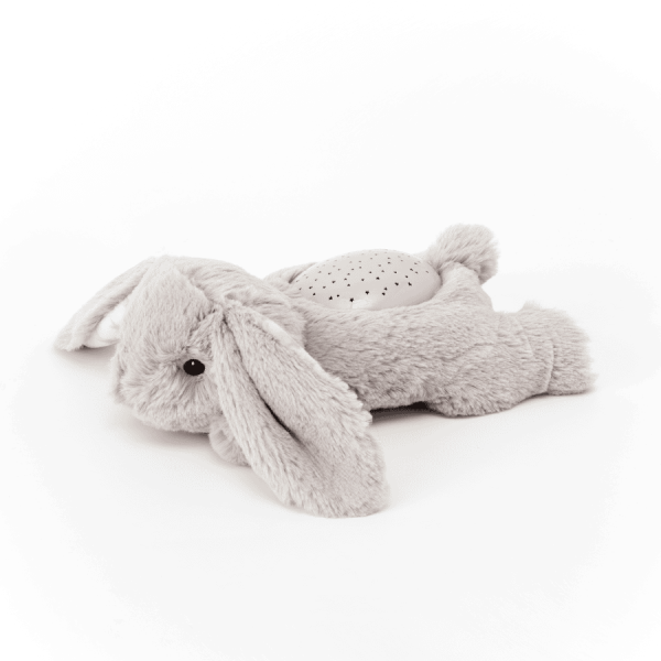Dream Buddies - Knuffel (pluche) Benny Bunny - Afbeelding 2