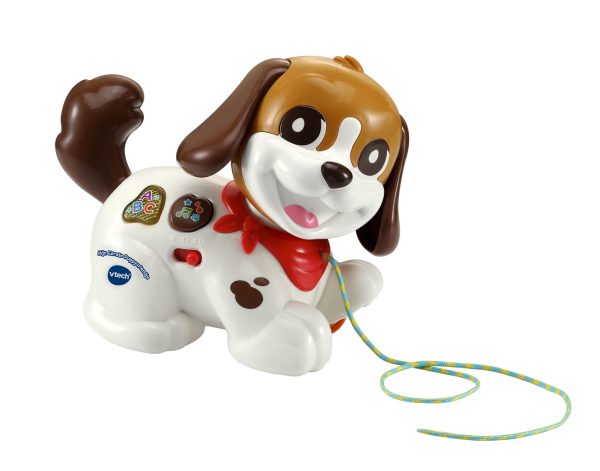 VTech Baby - Mijn eerste puppyvriendje
