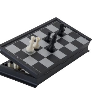 Schaakspel (reisspel)