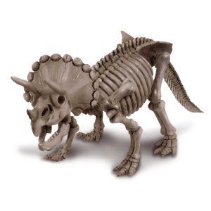 4M KidzLabs – Graaf je dinosaurus op (Triceratops)