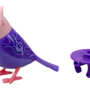 digibirds