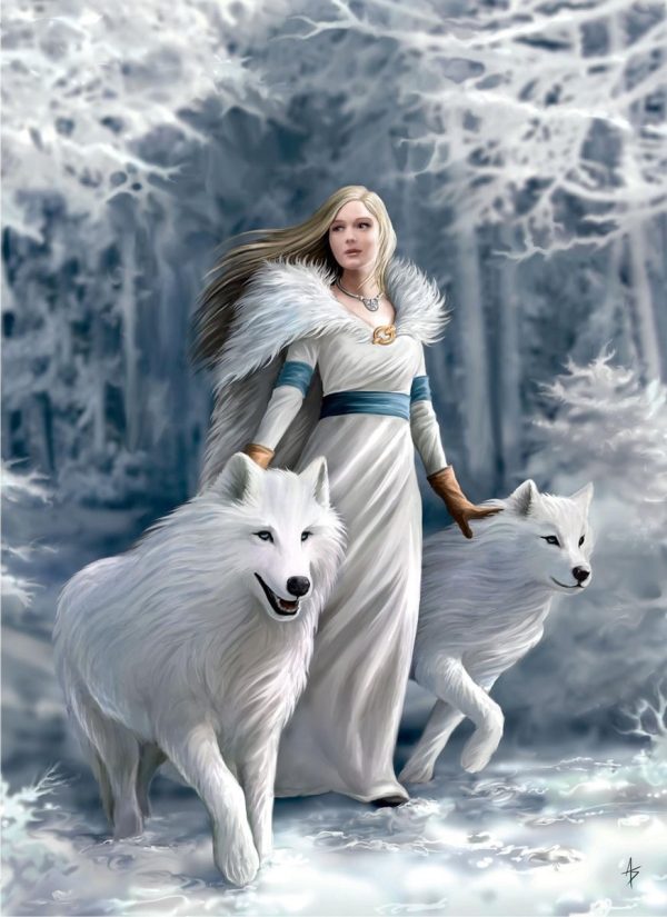 Puzzel (1000stuks) Anne Stokes Collection - Winter Guardians - Afbeelding 2