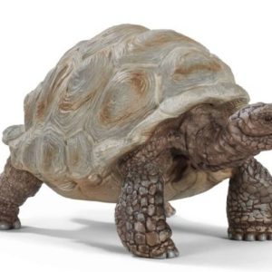 Schleich Wild Life – Reuzenschildpad
