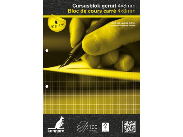 Cursusblok A4/2gaten geruit 4x8mm - 100vel