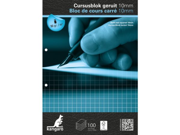 Cursusblok A4/2gaten geruit 10x10mm - 100vel