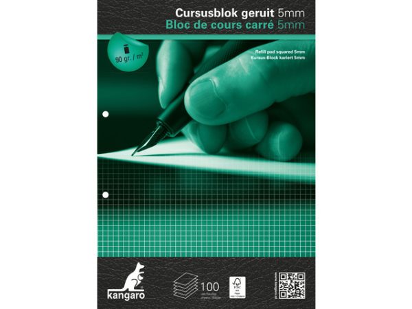 Cursusblok A4/2gaten geruit 5x5mm - 100vel