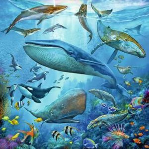 Puzzel (3x49stuks) – Dieren in de oceaan