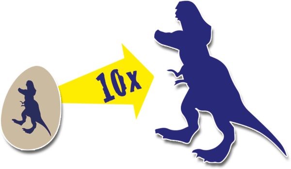 SES Creative Explore - Groeiende dinosaurussen (2 surprise eieren) - Afbeelding 6