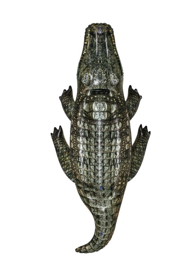 Opblaas alligator realistisch (193x94cm) - Afbeelding 10