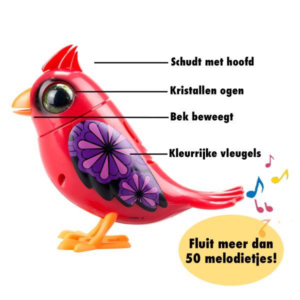 Digibirds - Cardinal - Afbeelding 3