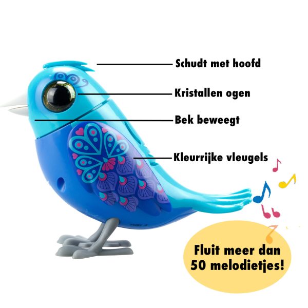 Digibirds - Hummingbird - Afbeelding 3