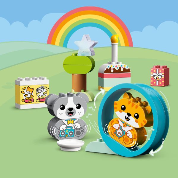 LEGO Duplo Mijn eerste Puppy en Kitten met geluid - 10977 - Afbeelding 6