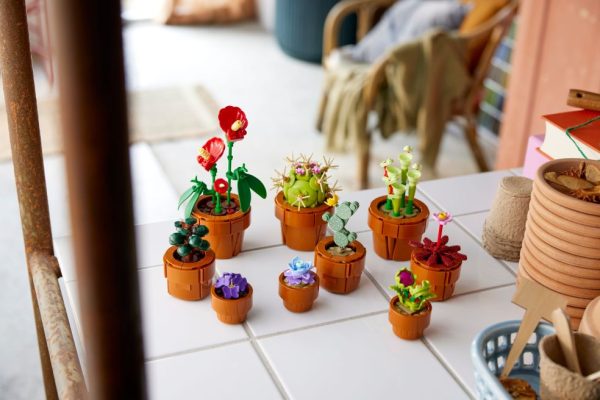 LEGO Icons Miniplantjes - 10329 - Afbeelding 6