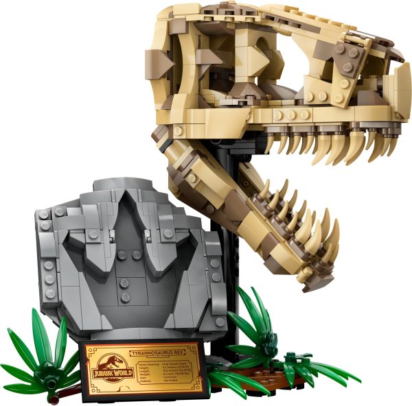 LEGO Jurassic World Dinosaurusfossielen T-Rex schedel - 76964 - Afbeelding 3