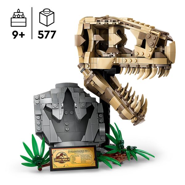 LEGO Jurassic World Dinosaurusfossielen T-Rex schedel - 76964 - Afbeelding 4