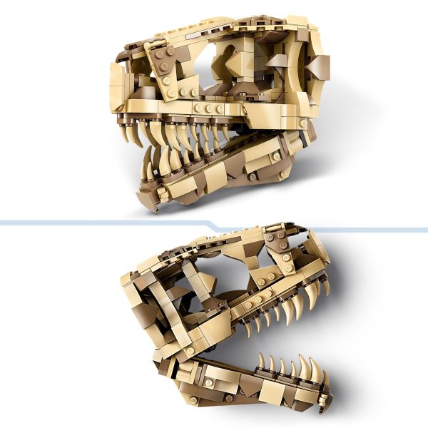 LEGO Jurassic World Dinosaurusfossielen T-Rex schedel - 76964 - Afbeelding 5