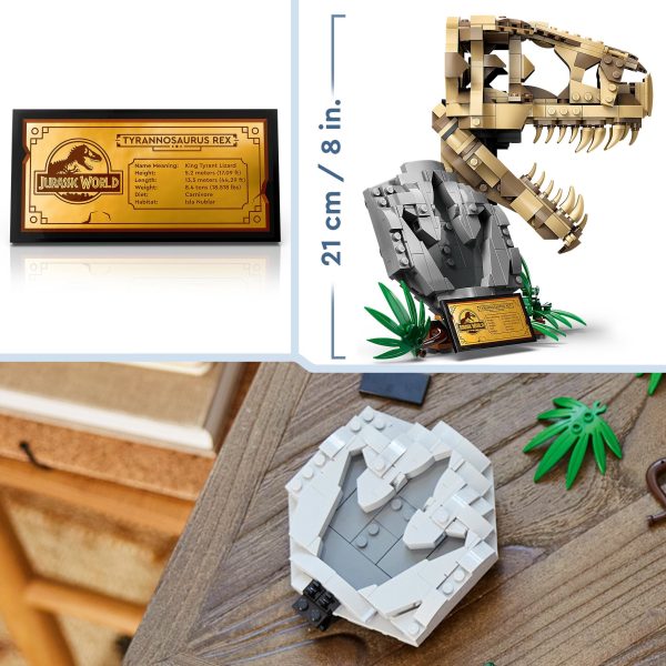 LEGO Jurassic World Dinosaurusfossielen T-Rex schedel - 76964 - Afbeelding 6