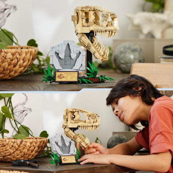 LEGO Jurassic World Dinosaurusfossielen T-Rex schedel - 76964 - Afbeelding 7