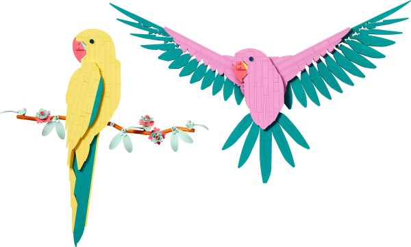LEGO Art De Faunacollectie - Kleurrijke papegaaien - 31211 - Afbeelding 3
