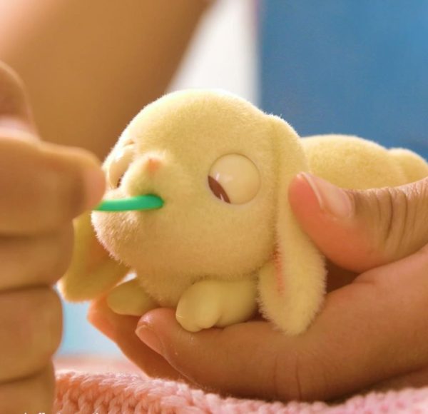Little Live Pets - Mama Surprise Mini - Lil'Bunny - Afbeelding 7