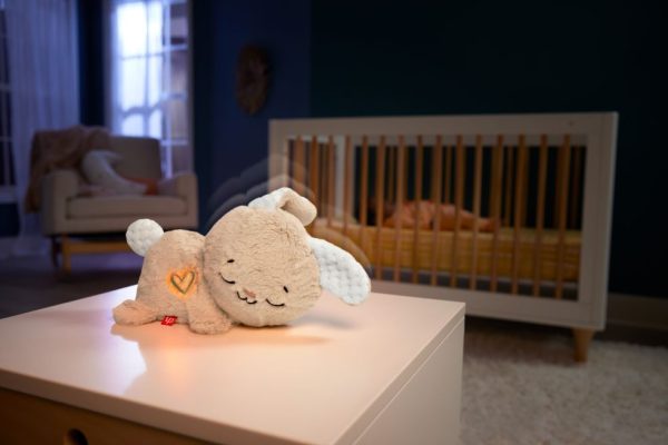 Fisher-Price - Soothe & Settle Bunny - Afbeelding 6