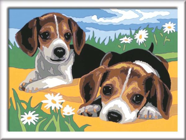 CreArt Junior Schilderen op nummer - Beagle Puppies