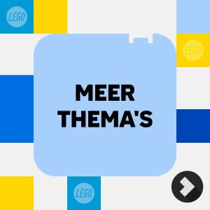 Overige LEGO speelsets