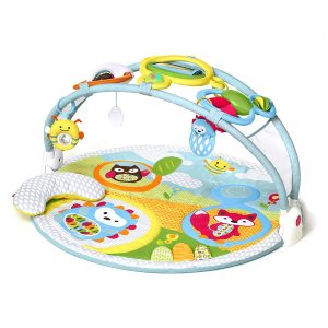 Explore & More – Amazing Arch Activity Gym