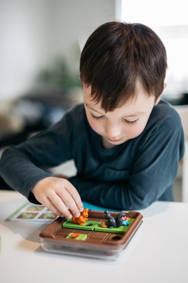 Smart Games - Squirrels Go Nuts! - Afbeelding 5