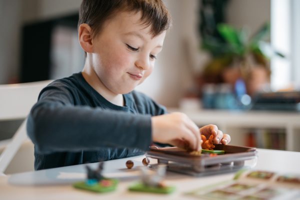 Smart Games - Squirrels Go Nuts! - Afbeelding 6