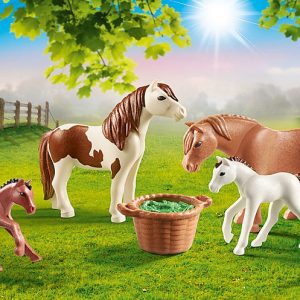 PM Country – Pony’s met veulens 70682