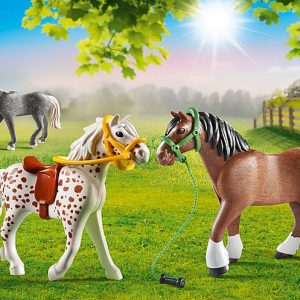 PM Country – 3 Paarden 70683